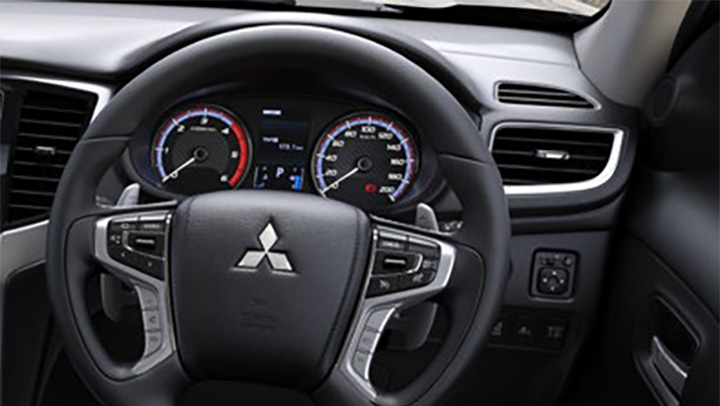 Cruise Control & Audio Steering Controls